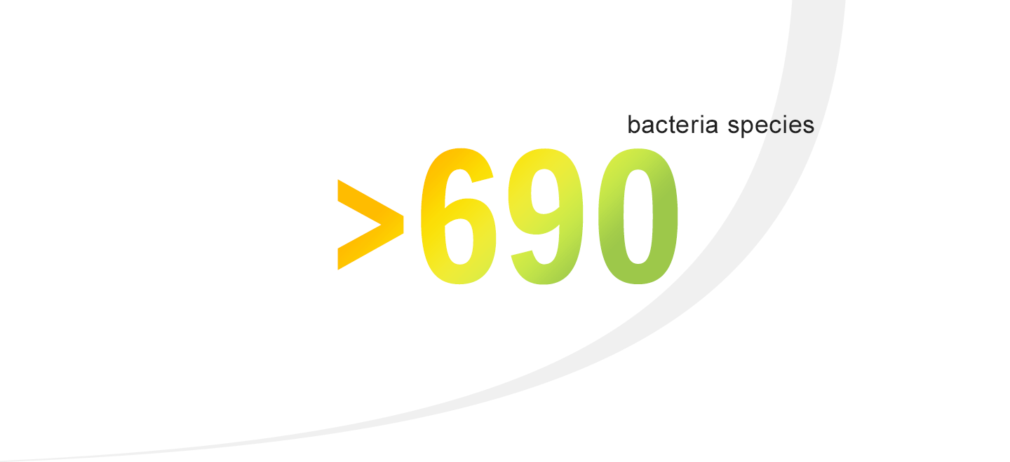 API® Microbial Identification bioMérieux industrial microbiology